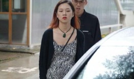 刘小姐汽车爆料视频播放,揭秘热门车型背后的真实故事